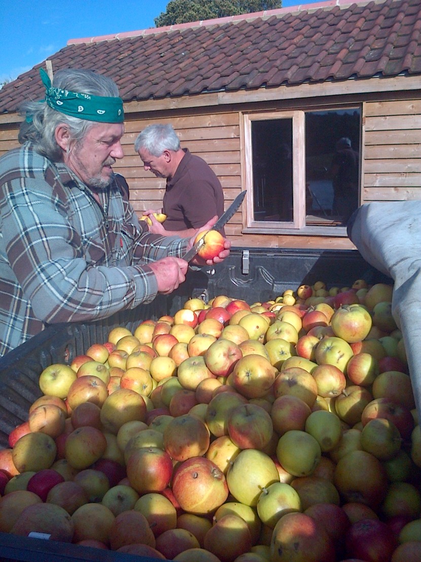 Apples should not be wasted